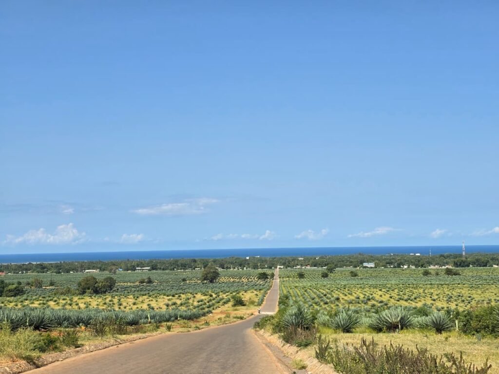 land for sale in Vipingo, Pazuri area with sea views