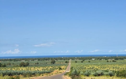 Prime 100 Acres Land for Sale in Vipingo — Pazuri, KSh 9M Per Acre