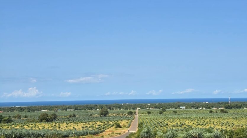 land for sale in Vipingo, Pazuri area with sea views