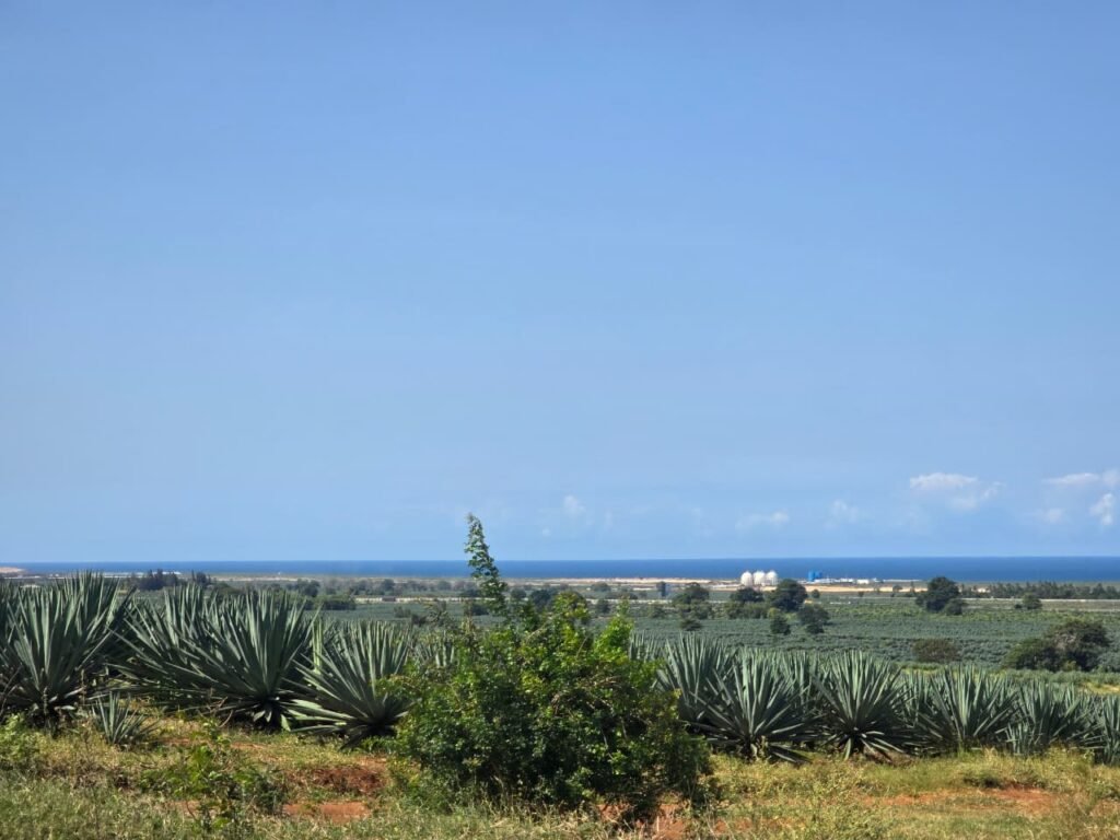 land for sale in Vipingo, Pazuri area with sea views