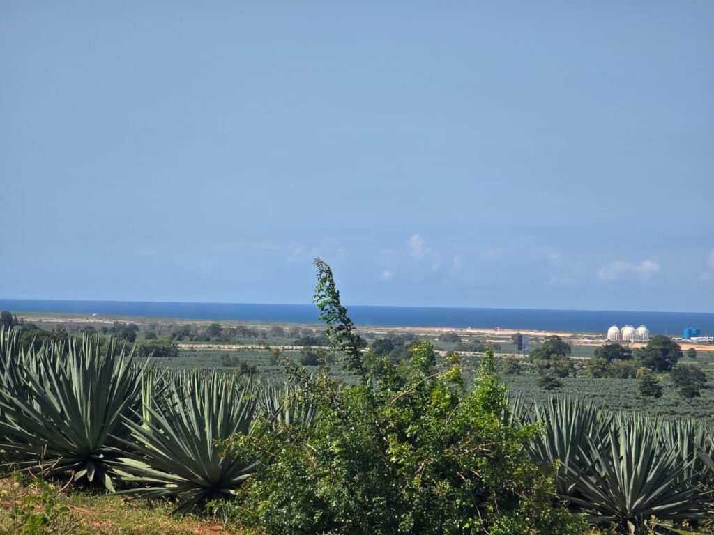 land for sale in Vipingo, Pazuri area with sea views