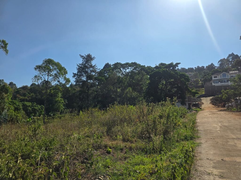 1/8 acre plot for sale in Kerarapon Drive, Ngong