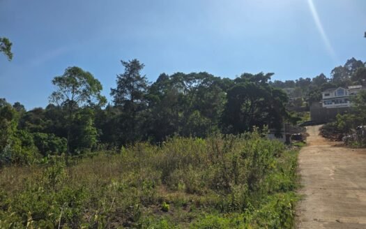 Prime 1/8 Acre Plot for Sale in Kerarapon — Water, Power, KSh 10M