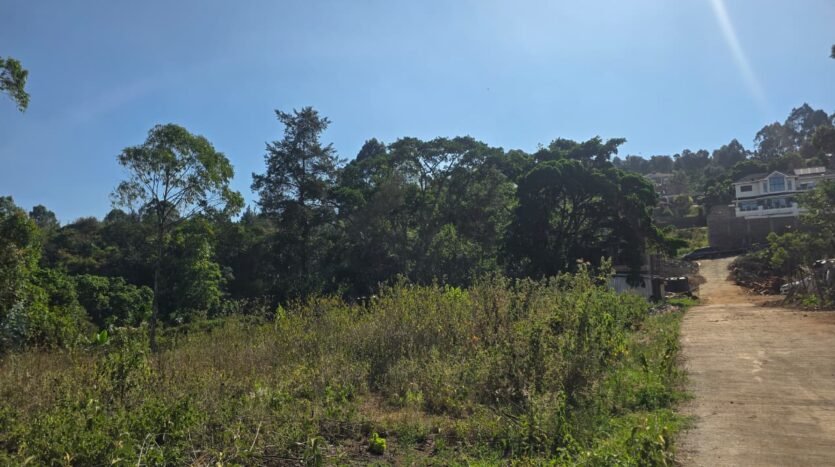 1/8 acre plot for sale in Kerarapon Drive, Ngong