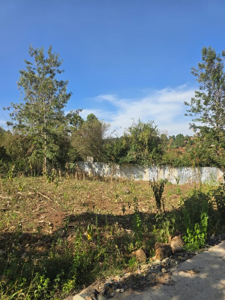 rectangular 1/8 acre plot in Kerarapon Drive, Ngong