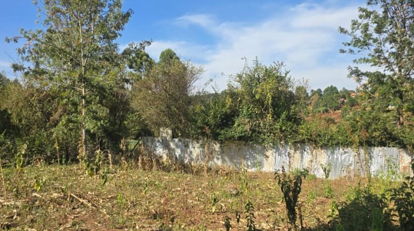 rectangular 1/8 acre plot in Kerarapon Drive, Ngong