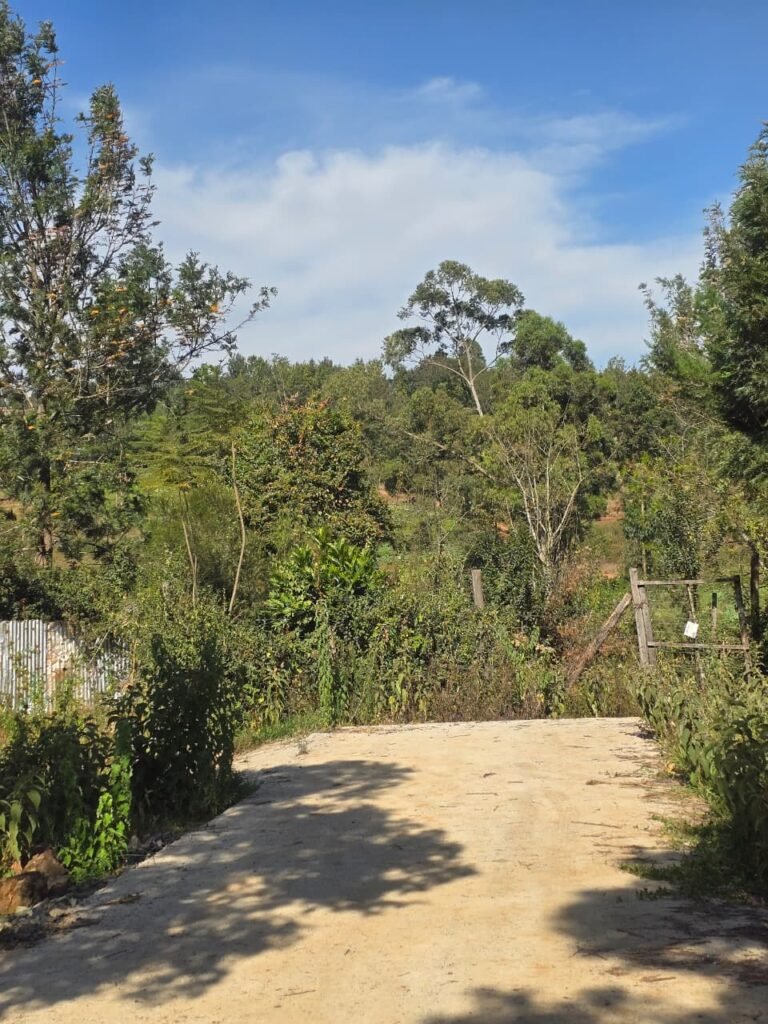 rectangular 1/8 acre plot in Kerarapon Drive, Ngong