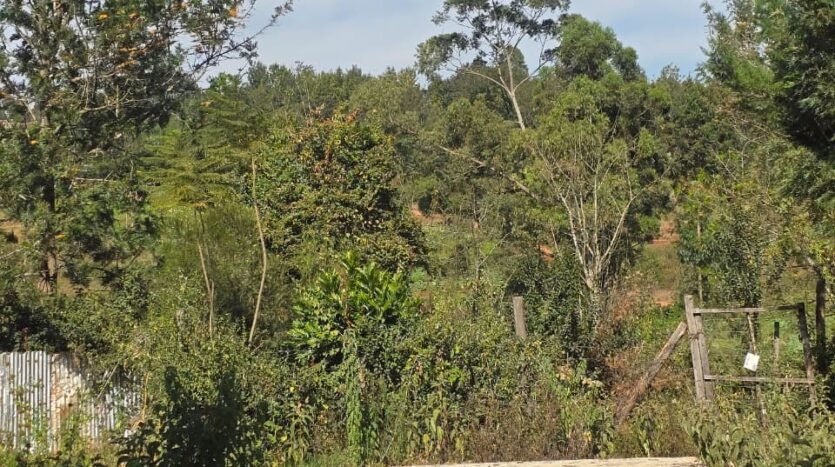 rectangular 1/8 acre plot in Kerarapon Drive, Ngong